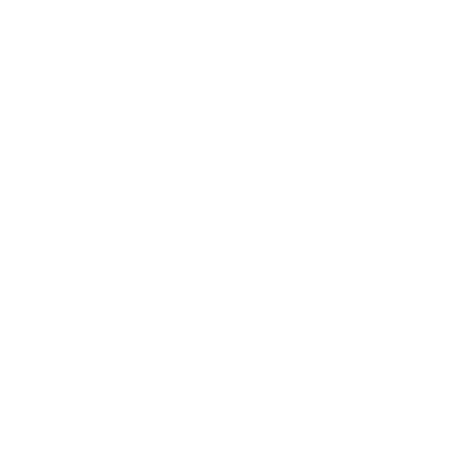 Anti-lock Braking System (ABS)